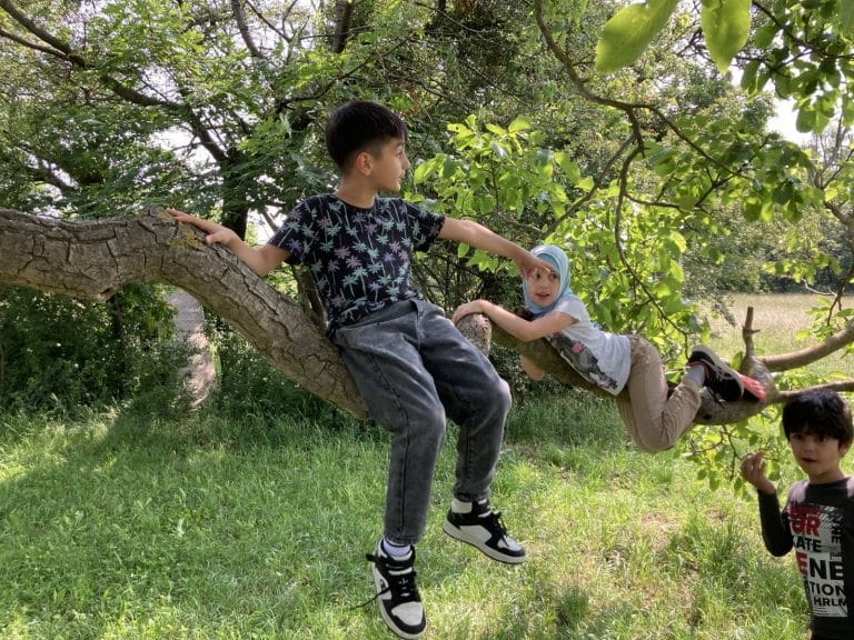 signal-2025-06-13-144437-4